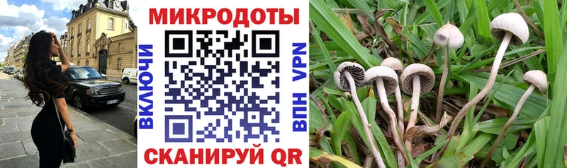 omg зеркало  Омутнинск  Галлюциногенные грибы ЛСД 